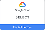 Google Cloud Partner